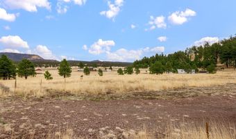 4 County Road 2110, Alpine, AZ 85920