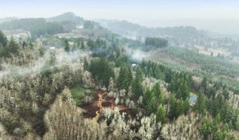 NE 197th Ct, Amboy, WA 98601