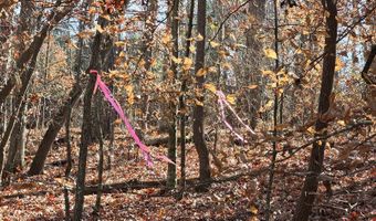 00001 Hwy 369, Ball Ground, GA 30107