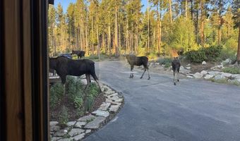 0146 CR 926, Breckenridge, CO 80424