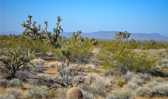 2641 S Javelina Rd, Yucca, AZ 86438