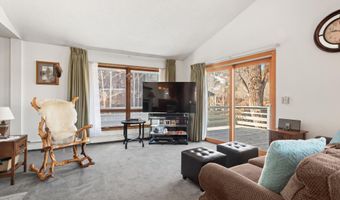534 536 Spruce St, Aspen, CO 81611