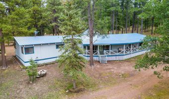 50 County Rd 2271, Alpine, AZ 85920