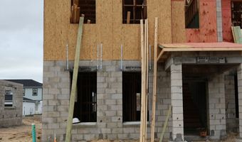 386 Lady Palm St, Apopka, FL 32703