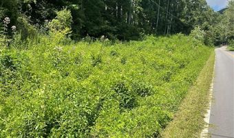 Martins Creek Road, Barnardsville, NC 28709