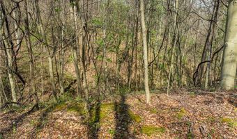 E Captina Highway Road, Alledonia, OH 43902