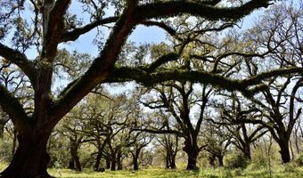 FM 521 TX, Angleton, TX 77515