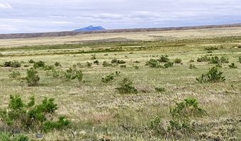 Stagecoach Spur W 935-8, Belfry, MT 59008