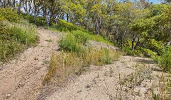 280 Petery Ln, Aptos, CA 95003