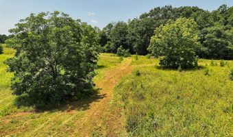 568 COUNTY ROAD 15 Lot 1, Autaugaville, AL 36003