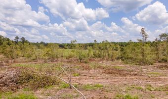 R53358 Tract 1 Hwy 94, Apple Springs, TX 75926