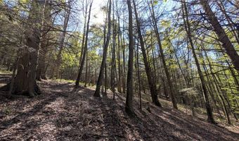 East River Road lot 5, Andes, NY 13731
