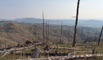 Pine Acres Rd, Bellvue, CO 80512