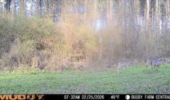 U.S. Highway 51, Bogue Chitto, MS 39629