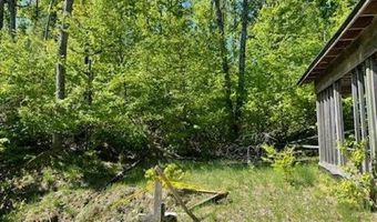5436 Valley Rd, Alanson, MI 49706