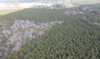 Tbd Highway 461, Ahoskie, NC 27910