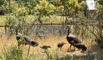 20540 E London Ct, Bayview, ID 83803