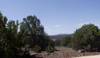 Lot 11 Uphill Trail, Vernon, AZ 85940