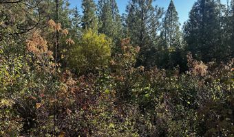 Old CC Rd, Addy, WA 99101