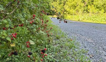 355 Lone Mountain Rd, Andersonville, TN 37705