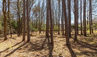 forest Road, Alstead, NH 03602