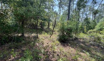 Holly Springs Avenue, Alford, FL 32420