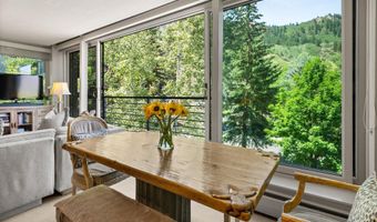728 S Galena St 202-B, Aspen, CO 81611