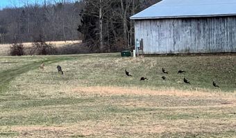 1775 GreenHill Welchburg Rd, Annville, KY 40402