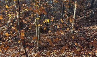 0 Columbus Dr, Bassett, VA 24055