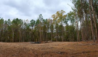 00002 Trickhambridge Rd, Brandon, MS 39042