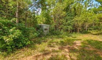 Harry Priddy Road, Americus, GA 31719