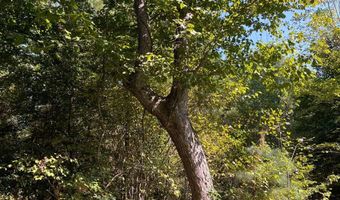 0 Nick Creek Rd, Bernice, LA 71222