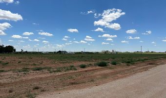 SE CR 2870, Andrews, TX 79714