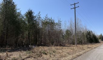 139 AC Witt Rd, Alpena, MI 49707