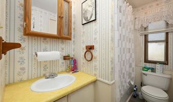 411 Palmetto Palm St, Alamo, TX 78516