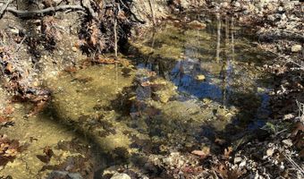 County Road P-305, Ava, MO 65608