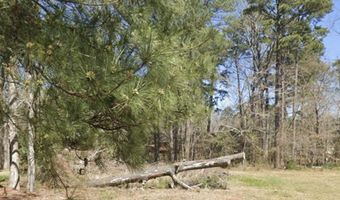 1074 Halton Ct, Brandon, MS 39047