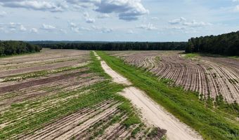 216 County Road 201, Ariton, AL 36010