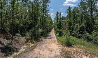 0 Snowden Ln, Bay Minette, AL 36507