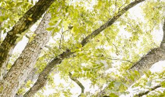 2778 SW Big Creek Dr, Bogue Chitto, MS 39629