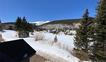 107 PEAKS VIEW Ct 324, Blue River, CO 80424