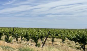 38 VINEYARD VIEW Dr, Bickleton, WA 99322