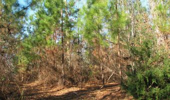 Buckhead Rd, Blair, SC 29015