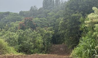 IKENA PL, Kalaheo, HI 96741