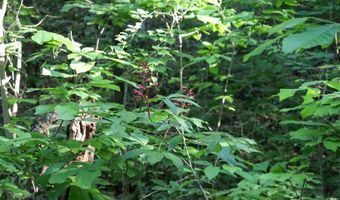 Whiskey Creek Lane, Batesville, AR 72501