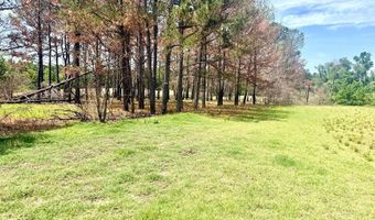 1983 Minton Chapel Rd, Bartow, GA 30413