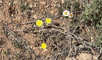 Lot 43se Tides Trl, Ash Fork, AZ 86320