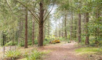 95950 SUNDOWN Dr, Brookings, OR 97415