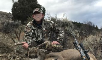 1381 Sheephorn Creek Rd, Bond, CO 80423