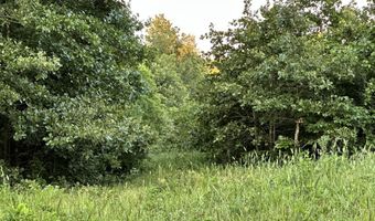 County Road 304, Alton, MO 65606